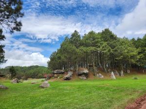 a field with rocks and trees on a hill at Cabanas Madre Tierra Zacatlan in Cedro