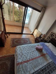 a bedroom with a bed and a large window at Cozy Queen bed room in zamalek with garden view and balcony in Cairo