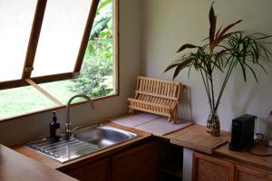 a kitchen with a sink and a potted plant at Fare Malou in Vaïare