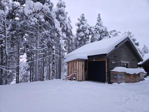 a cabin with a snow covered roof in the woods at The Lakeview Cabin in Kiruna