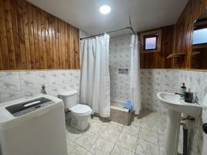 a bathroom with a toilet and a sink at Oikos Arriendos in Futrono