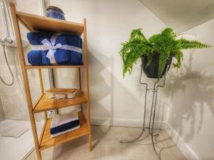 a book shelf with a plant and a plant at La Pergola-3 in Quebec City
