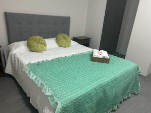 a bed with a green blanket and two pillows on it at Departamento moderno céntrico con piscina 2 Habitaciones 2 Baños in Chillán
