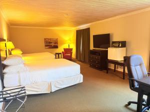 a hotel room with two beds and a television at Riverview Lodge in Dryden