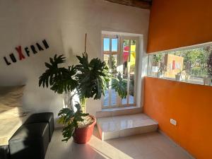 a living room with a couch and a potted plant at Luxfran in Uspallata
