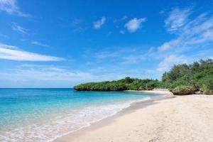 a beach with blue water and trees on the shore at Island Breeze - Round House with BBQ - Wooden Hot Tub - Beach in Onna