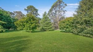 a field of grass with trees in the background at Terra Bella in Robertson