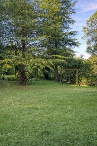 an object in the middle of a grassy field with a tree at El Bosque de Simba - Cabaña in La Estancia