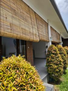 a building with some bushes in front of it at Villa Casa Delta Canggu in Canggu
