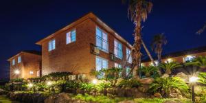 a building with a palm tree in front of it at Starlight Oreum Pension in Jeju +2 photos