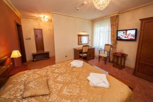 TV a/nebo společenská místnost v ubytování Hotel przy Młynie