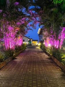 a walkway lined with palm trees at night at Suryavan Holidays in Chinchavli