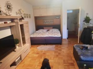 a bedroom with a bed and a tv and a couch at Ferienwohnung Schnuffi Wolfgang Kresse in Bad Harzburg
