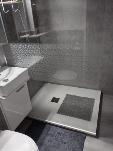 a bathroom with a shower and a sink and a toilet at Ferienwohnung Schnuffi Wolfgang Kresse in Bad Harzburg