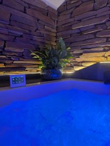a potted plant sitting next to a swimming pool at A Fleur de Couette in Auvelais
