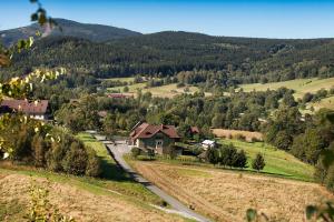 a house in the middle of a valley with trees at Villa Rosa in Stronie Śląskie