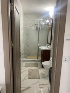 a bathroom with a shower and a toilet and a sink at Lemora Apartments 1 in Focşani