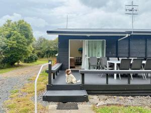 a dog sitting on the porch of a blue house at Peaceful Country Escape in Gordonton - Green Meadows Cottage in Taupiri +8 photos