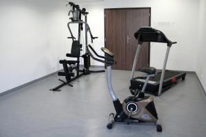 Fitness centrum a/nebo fitness zařízení v ubytování Hotel Kelep