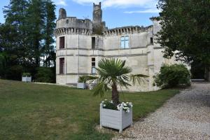 a palm tree in a white pot in front of a castle at Château de Veuil in Veuil +23 photos