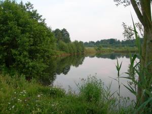 Fotografie z fotogalerie ubytování Ferienhaus am Wäldchen v destinaci Uelsen