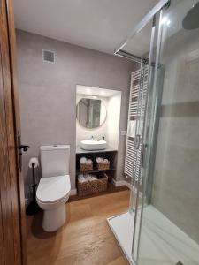 a bathroom with a toilet and a sink and a mirror at Casa Mauricio in Gúdar