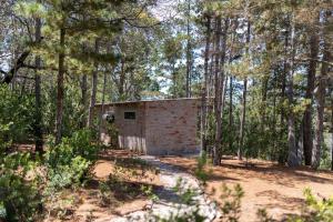 a brick building in the middle of a forest at Myrtle Forest Retreat Cabin in Plettenberg Bay