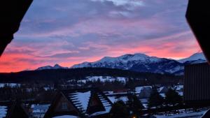 a view of a snowy mountain range at sunset at Domki Szwajnosówka in Witów