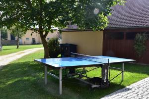 eine Tischtennisplatte im Gras im Hof in der Unterkunft Landhaus Folk in Pleinfeld