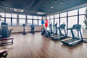 a gym with cardio equipment in a room with windows at Iconic Regency by Stellar ALV in Bayan Lepas