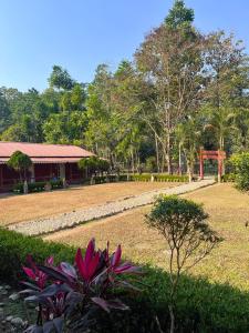 a park with a building and a garden with trees at Gorumara Jungle Resort in Chālsa