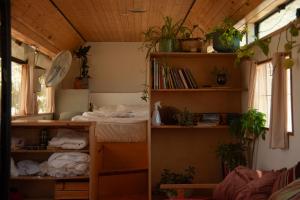 a room with a bed and shelves with plants at אוטובוס בכרם in Mitzpe Ramon