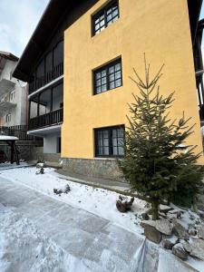 a christmas tree in front of a yellow building at Casa Valentino in Buşteni