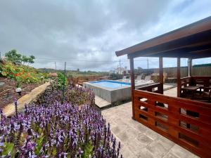 a garden with purple flowers next to a swimming pool at Betenama - Rustic Hideaway with Pool & Garden in Tesbabo