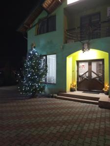 a christmas tree in front of a building at Pensiunea Vânătorului in Miceşti