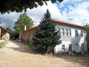 un pino se encuentra frente a un edificio en Quinta Do Bento Novo - Casa de Campo - Turismo Rural, en Viana do Castelo