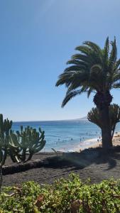 a palm tree on a beach with people in the water at Lukite House in Tías