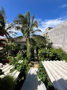 a group of benches in front of a building with a palm tree at Lua de Aquarius Boutique Hostel in Tamoios