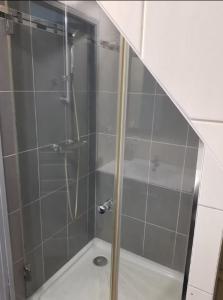 a shower with a glass door in a bathroom at Le Stein in Steinbach