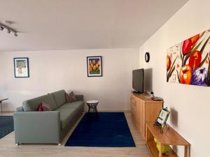 a living room with a couch and a tv at Ferienwohnung Karolus in Sinsheim