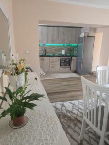a kitchen with a table and chairs and a refrigerator at Casa Izabella in Tîrnăveni +34 photos