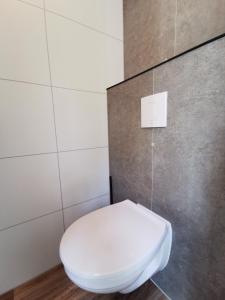 a bathroom with a white toilet in a wall at Bospark Wolfsven - 1511 in Mierlo +3 photos