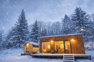 a tiny house in the woods in the snow at ermiglamping in Jince