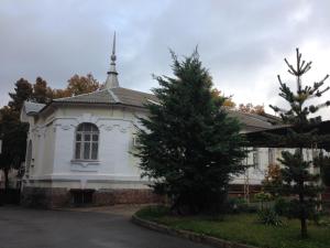 a white building with a tree in front of it at Budynok Pyschevycha in Oleksandriya +11 photos