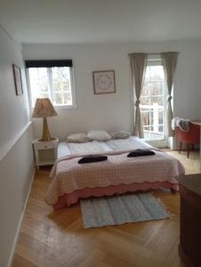 a bedroom with a large bed and two windows at Stege Nor in Stege