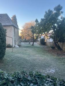 a yard with a house and a tree and grass at Les Glycines 23300 in La Souterraine