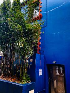 a blue building with plants on the side of it at Maison Solar Trentemoult in Rezé +4 photos