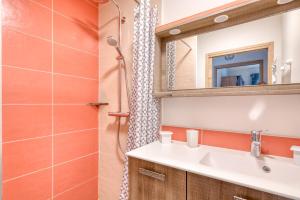a bathroom with a sink and a mirror at L'écrin de Sérénité - CNPE Bugey - Meximieux in Meximieux +2 photos