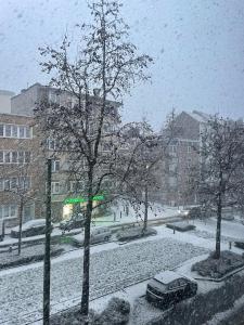 a car parked on a street in the snow at Spacious Home in Brussels in Brussels