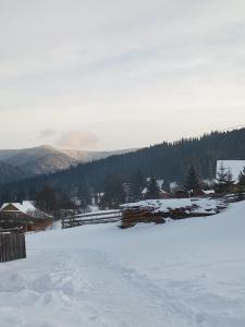 a field covered in snow with mountains in the background at Сільська садиба in Yablunytsya